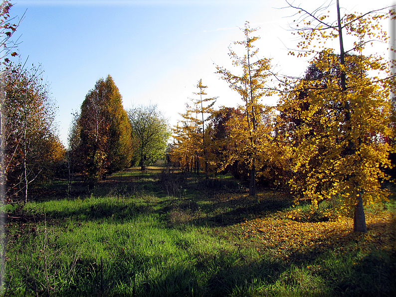 foto Paesaggi Autunnali tra le colline Fontesi